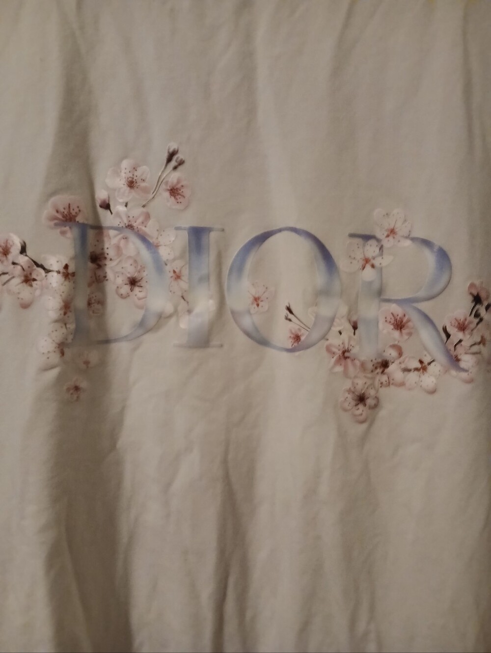 Dior White Tee with Pastel Blue Logo and Pink Floral Print